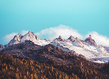 孙颖莎/王曼昱夺得WTT欧洲大满贯瑞典站女双冠军