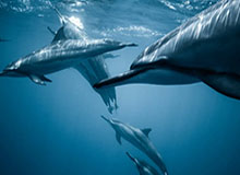 “湘超”声明：从未授权任何第三方机构或个人代理赛事门票业务